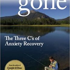 Anxiety Gone by Stanley Hibbs Book Review by Chet Weld