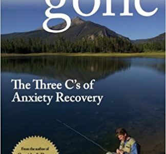 Anxiety Gone by Stanley Hibbs Book Review by Chet Weld